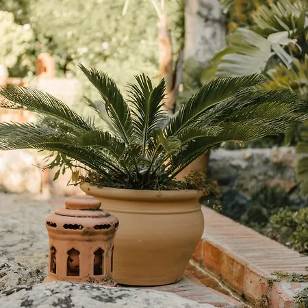 卡斯蒂略蒙达酒店